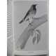 Birds through the year (Ornitología, aves en Inglaterra)