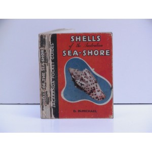 Shells of the Australian Sea-Shore