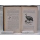 A Dictionary of Birds (diccionario de aves)