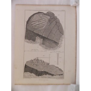 Eddystone Light House (9 Plates) (Faro marítimo de Eddystone)