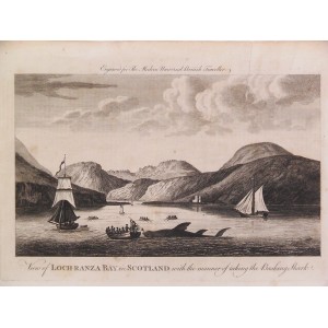 View of Loch-Ranza Bay in Scotland with the manner of taking the Basking Shark