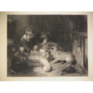 Niño con perros