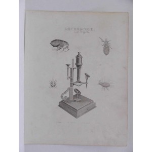MICROSCOPE AND OBJECTS 